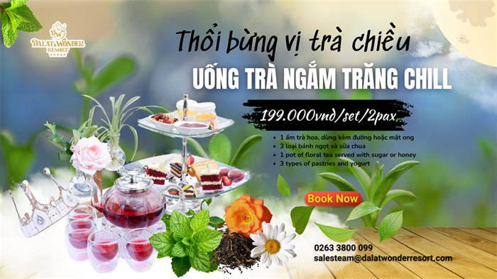 Thổi bùng vị trà chiều – Uống trà ngắm trăng chill
