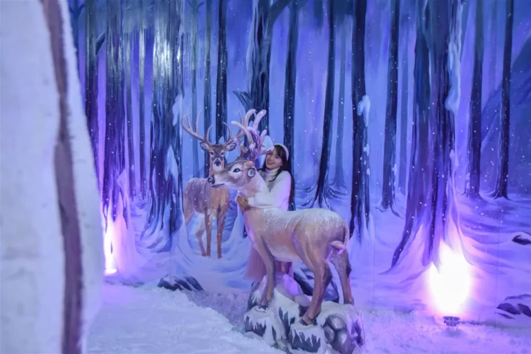 LÂU ĐÀI TUYẾT